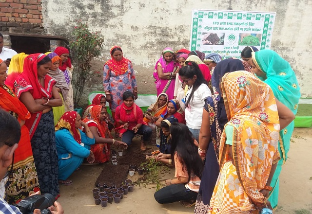 Skill Development Programme